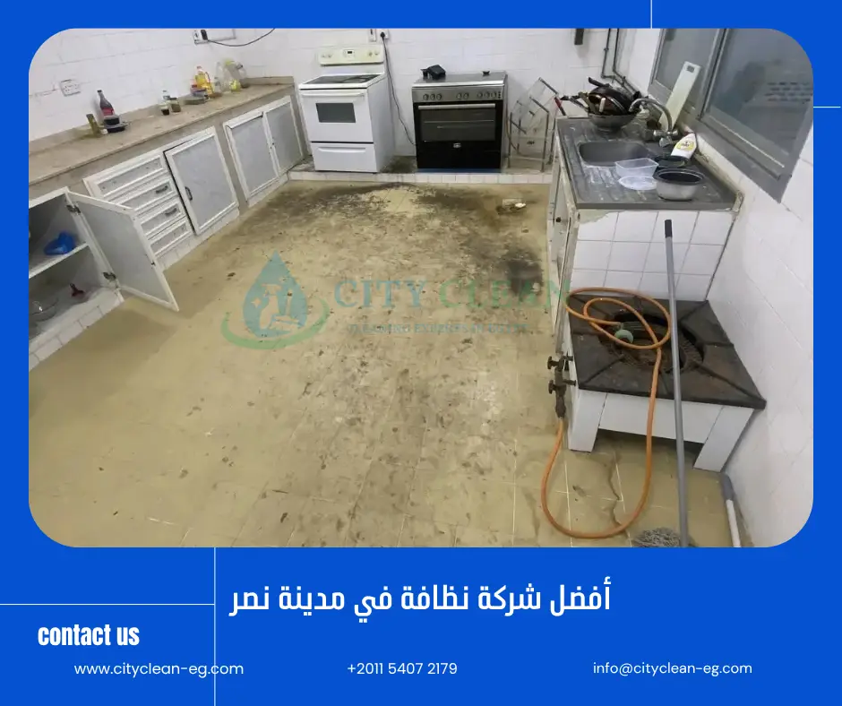 شركة نظافة في مدينة نصر